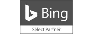 bing-platinum-partner-img