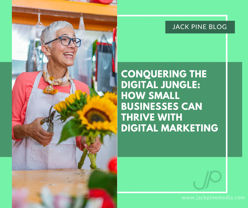 Jack Pine Blog post Conquering the Digital Jungle: How Small Businesses Can Thrive with Digital Marketing